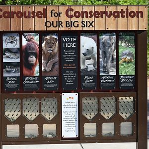 carousel conservation projects