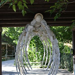 whale skeleton from discarded plastic