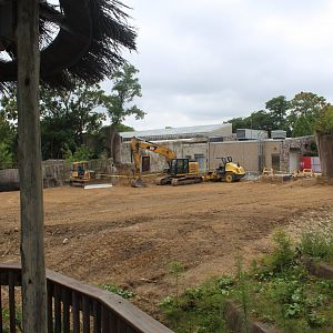 Hippo Exhibit Construction