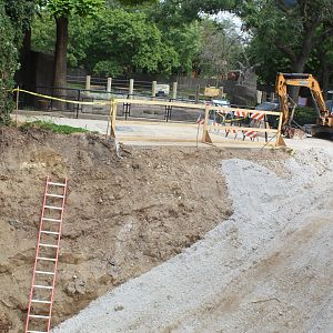 Hippo Exhibit Construction