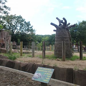 Temporary Hippo Exhibit (Former Elephant Exhibit)