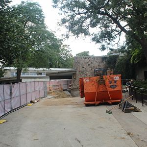Hippo Exhibit Construction