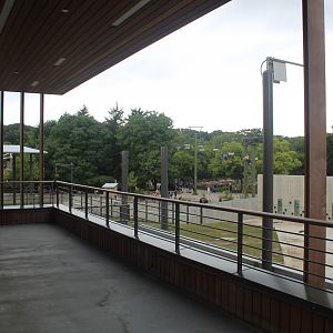 Elephant Care Center - Elephant Overlook Deck