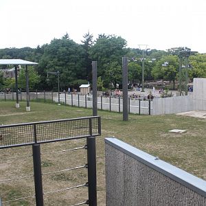 African Elephant Yard - View from Overlook Deck