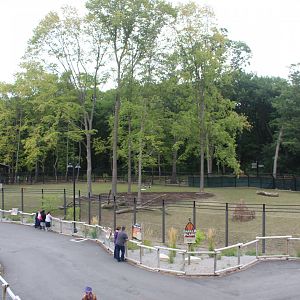 Impala Plains Overview (Impala, Plains Zebra, Ostrich, African Crowned-Crane)