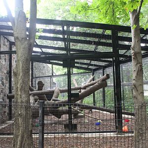 Colobus Monkey Outdoor Exhibit