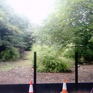 Redevelopment Of White-Naped Crane Enclosure 8th August 2019