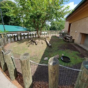 Sep. 2019 - Komodo Kingdom - Galapagos Tortoise Outdoor Exhibit