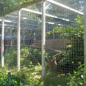 Skærup Zoo - Eurasian lynx exhibit
