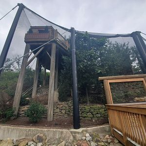 Sep. 2019 - Grizzly Ridge - Aviary