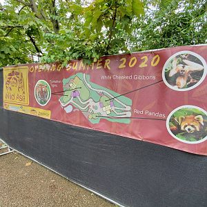 Sep. 2019 - Wild Asia (2020) Plans