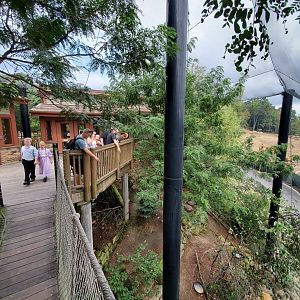 Sep. 2019 - Grizzly Ridge - Native Walkthrough Aviary