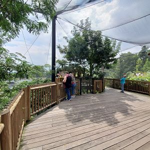 Sep. 2019 - Grizzly Ridge - Native Walkthrough Aviary
