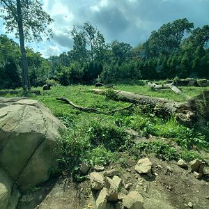 Sep. 2019 - Grizzly Ridge - Grizzly Bear Exhibit