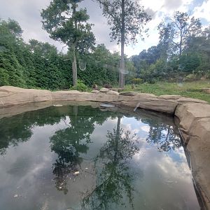 Sep. 2019 - Grizzly Ridge - Grizzly Bear Exhibit