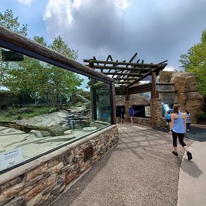 Sep. 2019 - Grizzly Ridge - River Otter Exhibit