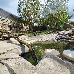 Sep. 2019 - Grizzly Ridge - River Otter Exhibit