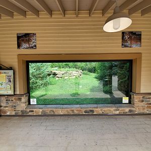 Sep. 2019 - Grizzly Ridge - Red Wolf Viewing