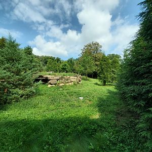 Sep. 2019 - Grizzly Ridge - Red Wolf Exhibit