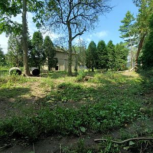 Sep. 2019 - Grizzly Ridge - Coyote Exhibit