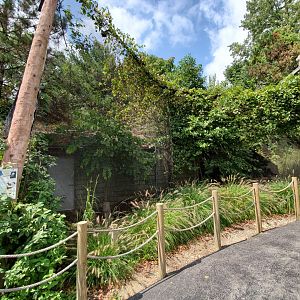 Sep. 2019 - Snow Owl Exhibit