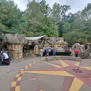 Sep. 2019 - Humboldt Penguin Exhibit