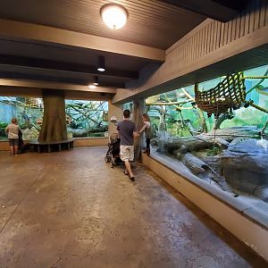 Sep. 2019 - Legends of the Wild - Madagascar - Ring-tailed/Black and White/Red Ruffed Lemur Exhibit