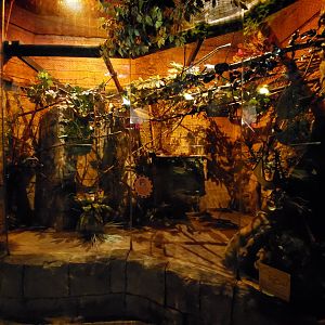 Sep. 2019 - Legends of the Wild - Pygmy Slow Loris Exhibit