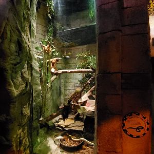 Sep. 2019 - Legends of the Wild - Cave Dwelling Snake Exhibit