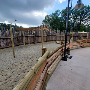 Sep. 2019 - New! Pride of Africa - Boma - Goat Exhibit