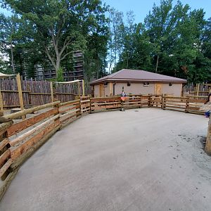 Sep. 2019 - New! Pride of Africa - Boma - Goat Exhibit