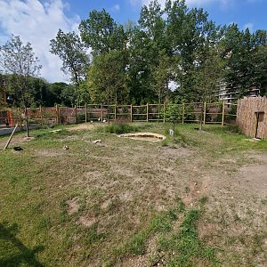 Sep. 2019 - New! Pride of Africa - Speke's Gazelle/White Stork/Kenyan Crested Guineafowl Exhibit