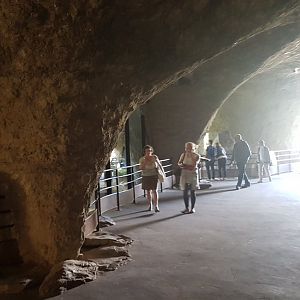 Giant panda indoor-grotto