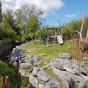 One of the outdoor Giant panda-enclosures