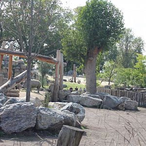 Part African savanna