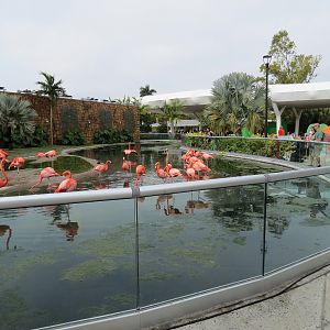 Entrance - American Flamingo Exhibit