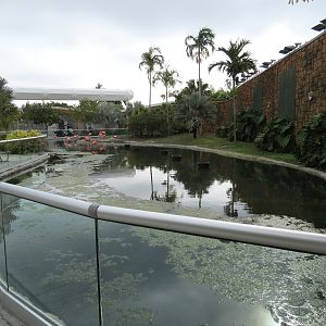 Entrance - American Flamingo Exhibit