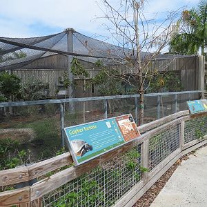 Florida: Mission Everglades - Burrowing Owl and Gopher Tortoise Exhibit