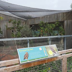 Florida: Mission Everglades - Burrowing Owl and Gopher Tortoise Exhibit