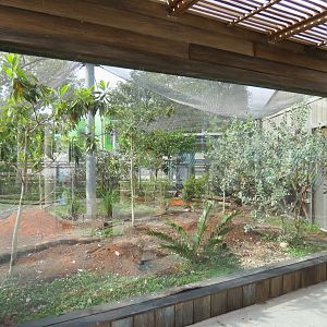 Florida: Mission Everglades - Burrowing Owl and Gopher Tortoise Exhibit