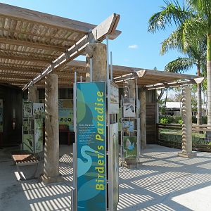 Florida: Mission Everglades - Birding Displays