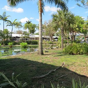 Florida: Mission Everglades - South Florida Wading Bird Exhibit