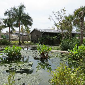 Florida: Mission Everglades - South Florida Wading Bird Exhibit