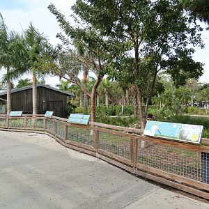 Florida: Mission Everglades - South Florida Wading Bird Exhibit