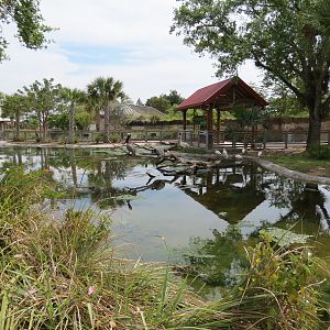 Florida: Mission Everglades - South Florida Wading Bird Exhibit