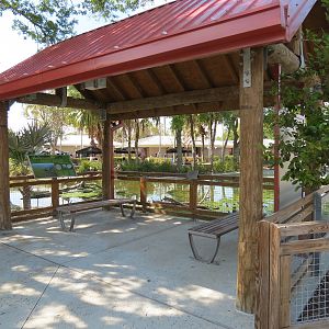 Florida: Mission Everglades - South Florida Wading Bird Exhibit