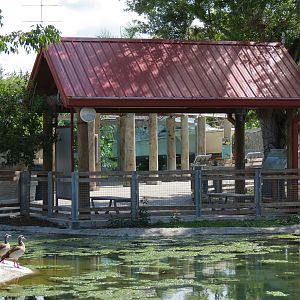 Florida: Mission Everglades - South Florida Wading Bird Exhibit