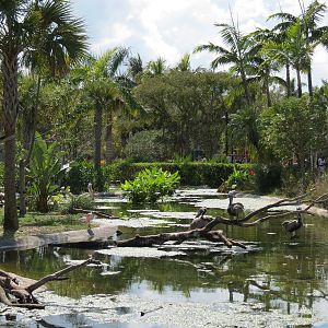 Florida: Mission Everglades - South Florida Wading Bird Exhibit