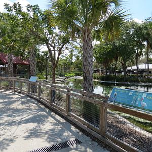 Florida: Mission Everglades - South Florida Wading Bird Exhibit