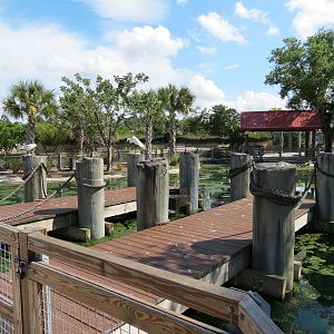 Florida: Mission Everglades - South Florida Wading Bird Exhibit